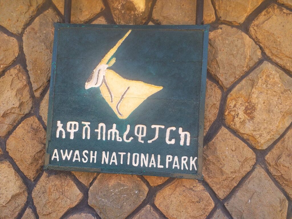 Awash National Park: A Must-See Destination in Ethiopia 12 Awash National Park
