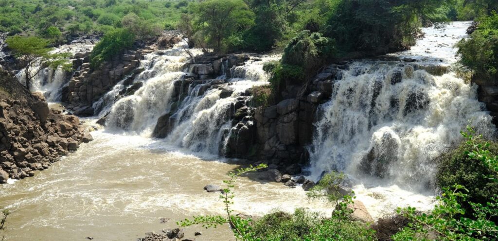 Awash National Park: A Must-See Destination in Ethiopia 5 Awash National PArk