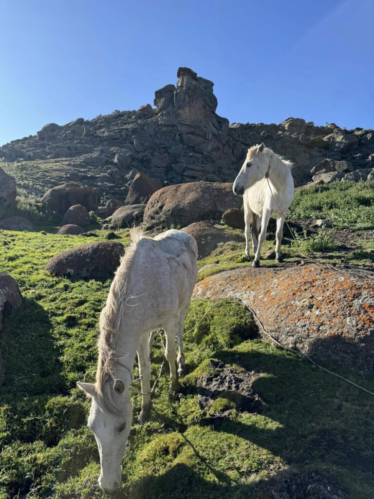 Visit Ethiopia: Explore the Land of Origins