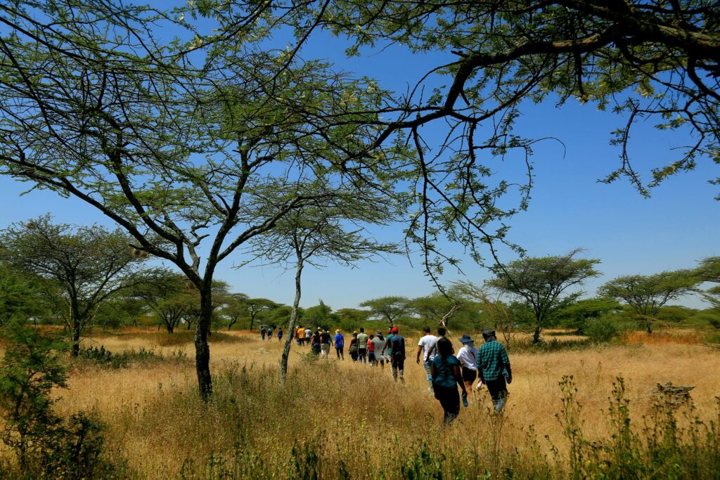 Langano Travel Guide: Your Perfect Lakeside Retreat in ethiopia 3 Langano Travel Guide: Your Perfect Lakeside Retreat in ethiopia